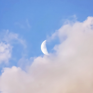 狂C亲女含苞欲h古代
